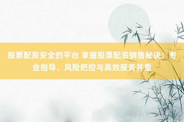 股票配资安全的平台 掌握股票配资销售秘诀：专业指导、风险把控与高效服务并重