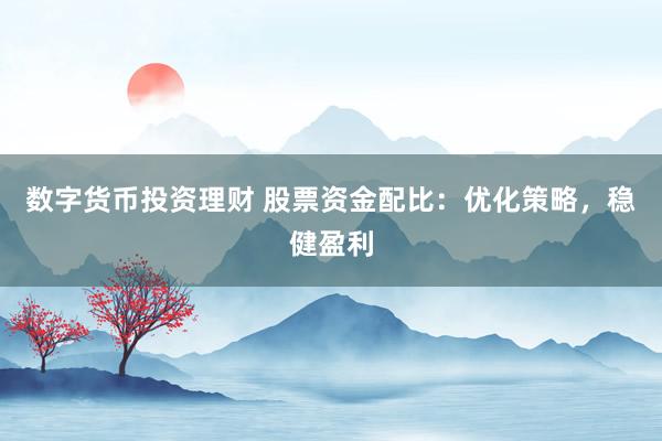 数字货币投资理财 股票资金配比：优化策略，稳健盈利