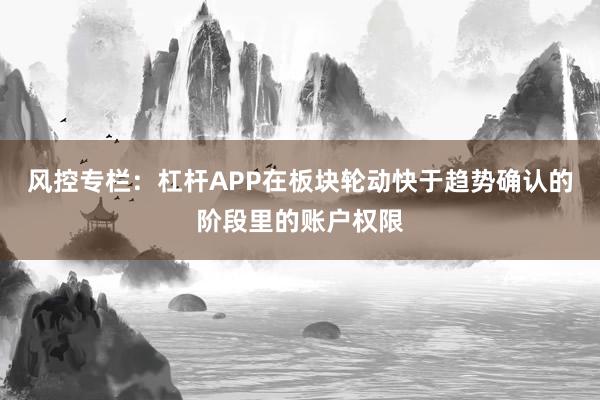 风控专栏：杠杆APP在板块轮动快于趋势确认的阶段里的账户权限